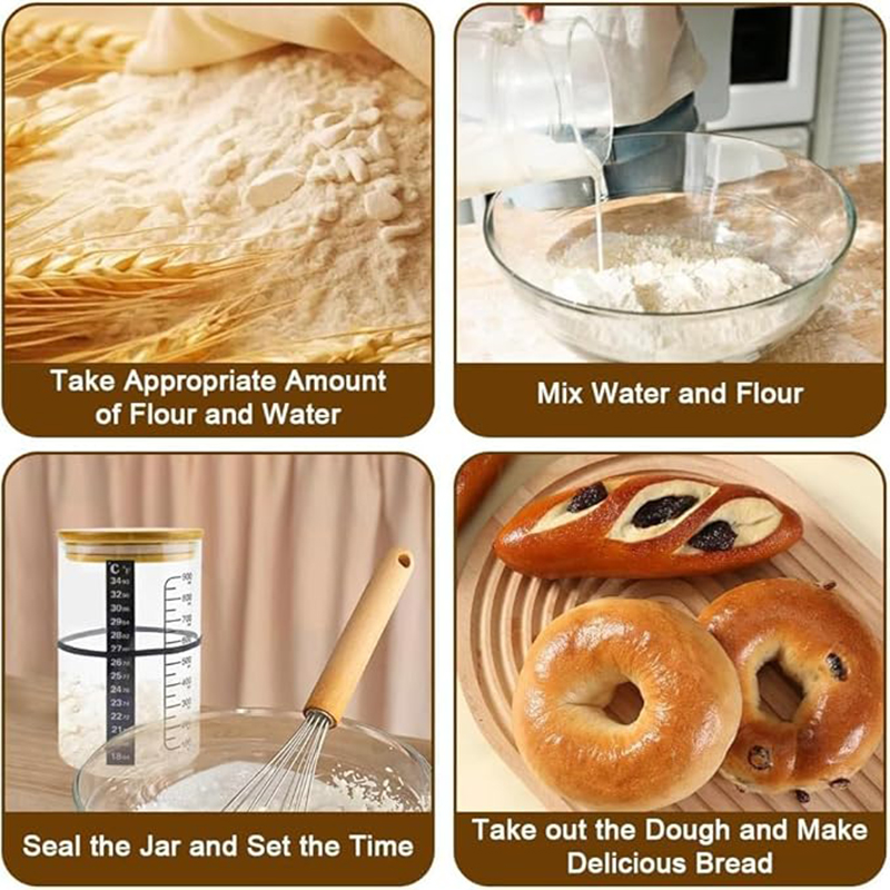 Kit Stoples Starter Sourdough  - Food Storage Glass Box ulasan dan harga